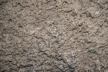 Texture of old rough plaster