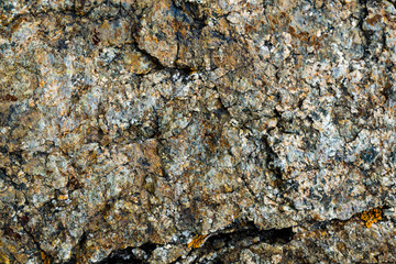 The texture of the stone overgrown with moss. Background image of a boulder