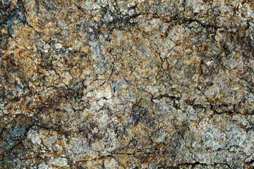 The texture of the stone overgrown with moss. Background image of a boulder