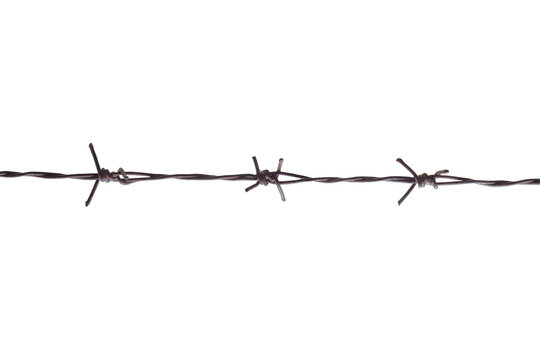 Barbed wire Isolated on a white background