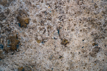 The texture of concrete