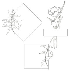 Line art simple templates with flowers and greenery. Hand painted borders with eucalyptus leaves, anemones, tulips and greenery leaves and branches isolated on white background. Floral illustrations