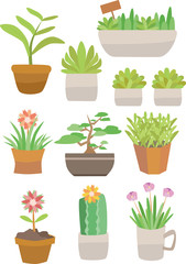 Ten different plant potted material combinations