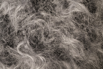 Obraz premium Wool texture