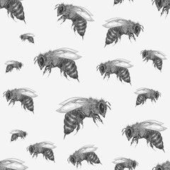 seamless pattern with bee. Vintage hand drawn illustration with insect