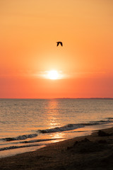 Summer sea at sunset. seascape background. summer evening landscape. sea waves. summer sunset. black sea