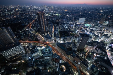 Fototapeta premium Overlook the night view of Tokyo