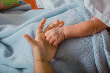 Suaves manos de bebé. Niño recién nacido. Mano de bebé en la palma de su hermana. La mano del niño en una mano hermana sobre una manta. Nuevo concepto de familia, cuidado y protección del bebé