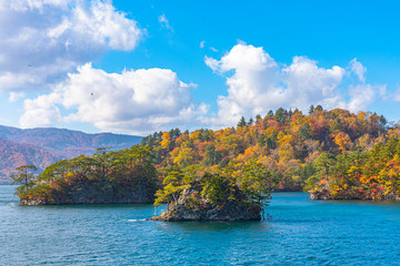 Beautiful autumn foliage scenery landscapes. Fall is full of magnificent colors. View from Lake Towada sightseeing Cruise ship. Clear blue sky, water, white cloud, sunny day background. Aomori, Japan
