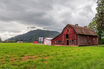Fototapeta na wymiar Old wooden and new metal barns stand in a field on green grass near a mountain covered by forest