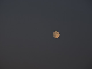 moon in the sky