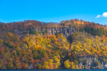 Obraz premium Beautiful autumn foliage scenery landscapes. Fall is full of magnificent colors. View from Lake Towada sightseeing Cruise ship. Clear blue sky, water, white cloud, sunny day background. Aomori, Japan