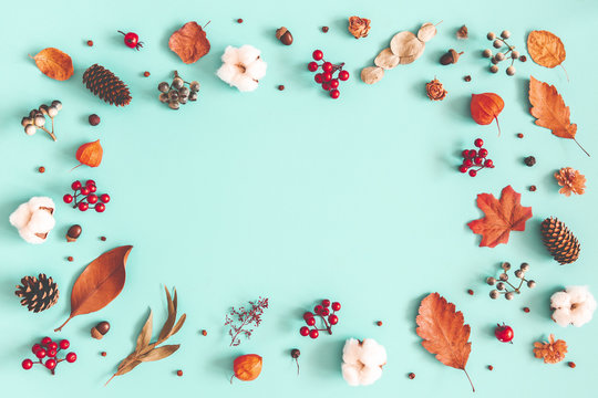 Autumn Or Winter Composition. Dried Leaves, Cotton Flowers On Pastel Blue Background. Autumn, Fall, Winter Concept. Flat Lay, Top View, Copy Space