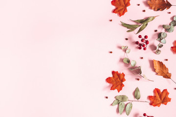 Autumn composition. Dried flowers, eucalyptus leaves, rowan berries on pink background. Autumn, fall, thanksgiving day concept. Flat lay, top view, copy space