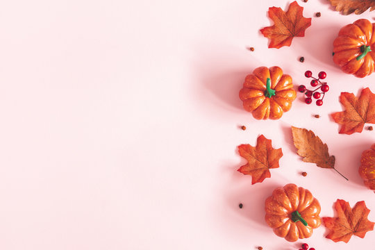 Autumn composition. Dried leaves, pumpkins, flowers, rowan berries on pink background. Autumn, fall, halloween, thanksgiving day concept. Flat lay, top view, copy space
