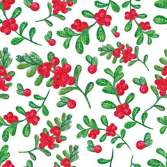 Cranberries with leaves seamless watercolor pattern handmade. Hand drawing Botanical forest berries seamless background . Watercolor illustration. Use for textile printing, wrapping paper,