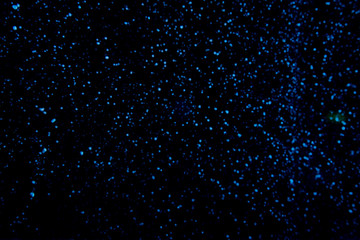 Abstract dust explosion on a black background