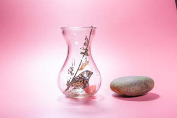 Butterfly and pink background in transparent glass jar