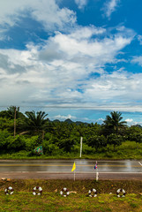 Obraz premium Looking at the sky.