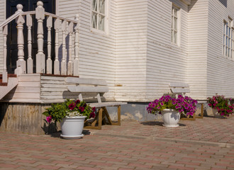 Bench Park vase pots of flowers on the street