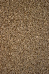 Shore beach water sea wave sand shells, background texture