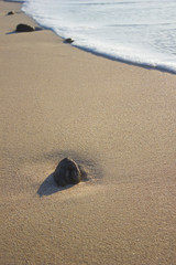Stone in foam from sea wave on sand sunrise sea