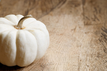 white pumpkin
