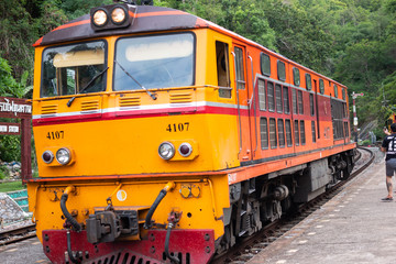 Fototapeta premium railroad tracks or railway Tunnel pass in thailand