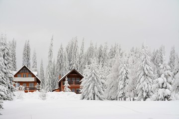 wooden house in the woods in winter