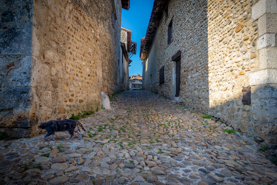 Narrow alley and cat escaping, Perouges, France