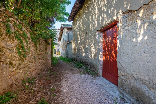 Leaves and branches casting a shadow on a red door, Perouges, France
