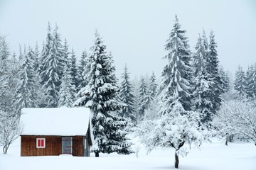 a cottage near the forest in winter