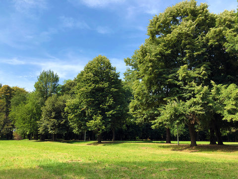 Park of Pejacevic Castle or Perivoj dvorca Pejacevic ili Nasicki gradski park - Nasice, Croatia