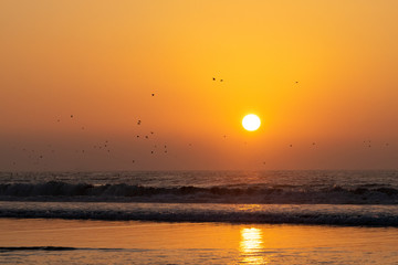 Siilhouette of birds in flight at golden hour sunset over the ocean