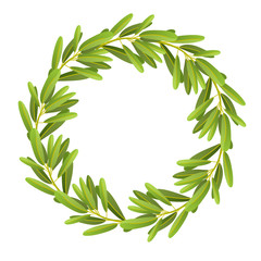 Flat illustration of olive wreath isolated on white background. For natural cosmetics, olive oil, health care products. Vector illustration