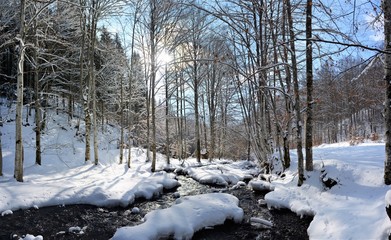 a stream in winter forest