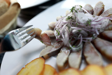 Person takes slice of herring