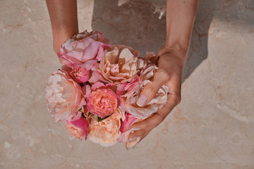 ideally made manicure. Women's hands on the background of flowers