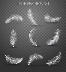 Realistic Feather Transparent Set