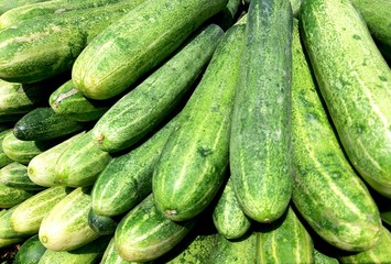 fresh cucumbers for sale at farmers market