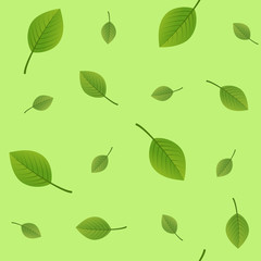 Seamless pattern of green leaves. Vector background of leaves for decoration