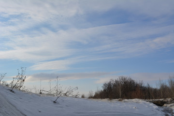 Beautiful winter scene with herbs and trees on the background of sky with white clouds.