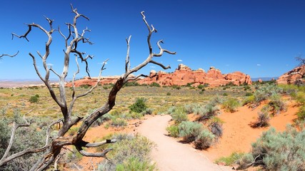 Arches National Park