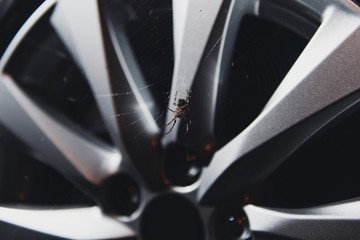 A spider is weaving a web on the alloy rim of a new car. Bad sales concept photo. Insect in a car...