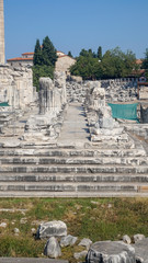 Apollon temple - Ruins of the Temple of Apollo in Didim, Turkey-