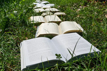 open books on the grass