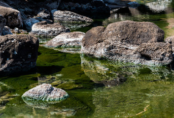 Naklejka na ściany i meble Hot spring sea water and small swamps near Lac Assal (Salt Lake) , 150m below sea level - Djibouti, East Africa