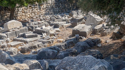 Apollon temple - Ruins of the Temple of Apollo in Didim, Turkey-