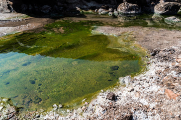 Naklejka na ściany i meble Hot spring sea water and small swamps near Lac Assal (Salt Lake) , 150m below sea level - Djibouti, East Africa