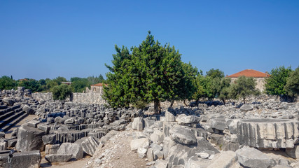 Apollon temple - Ruins of the Temple of Apollo in Didim, Turkey-